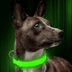 thumbnail image 2 of Collar para perros con luz LED Blazin: visibilidad de pies - El más brillante para seguridad nocturna, 2 of 6