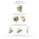 thumbnail image 2 of Perfume Panier des Sens Provence Citrus Eau de Toilette 10 mL, 2 of 6