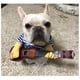 thumbnail image 1 of Disfraz divertido de guitarrista para mascotas halloween, talla XL, 1 of 3