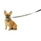 thumbnail image 2 of Correa Fuzzyard para perro DINOSAUR 1,4 mts, 2 of 2