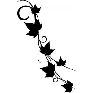 Rienda Libre Graphics - Decomural Ivy Vine Leaves Floral Swirl Ws-15791