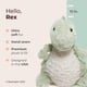 thumbnail image 2 of Peluche Bearington Rex The T-Rex Dino de 30 cm, 2 of 6