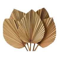 Genérico - Hoja Palma Seca Corazón Tropical Natural