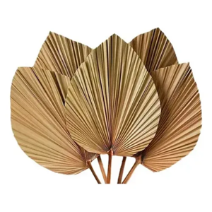 Genérico - Hoja Palma Seca Corazón Tropical Natural