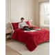 thumbnail image 4 of Cobertor Invierno 250x270 cm Plush y Chiporro King, 4 of 5