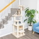 thumbnail image 4 of Condominio de madera auténtica Cat Tree Armarkat A6501 de 30 x 28 x 65 cm, 4 of 7