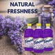 thumbnail image 2 of Cleaner Fabuloso Multiusos Aroma A Lavanda Paquete De 3, 2 of 3