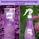 thumbnail image 3 of Aromatizante glade peony whispers spray, 400 ml, 3 of 8