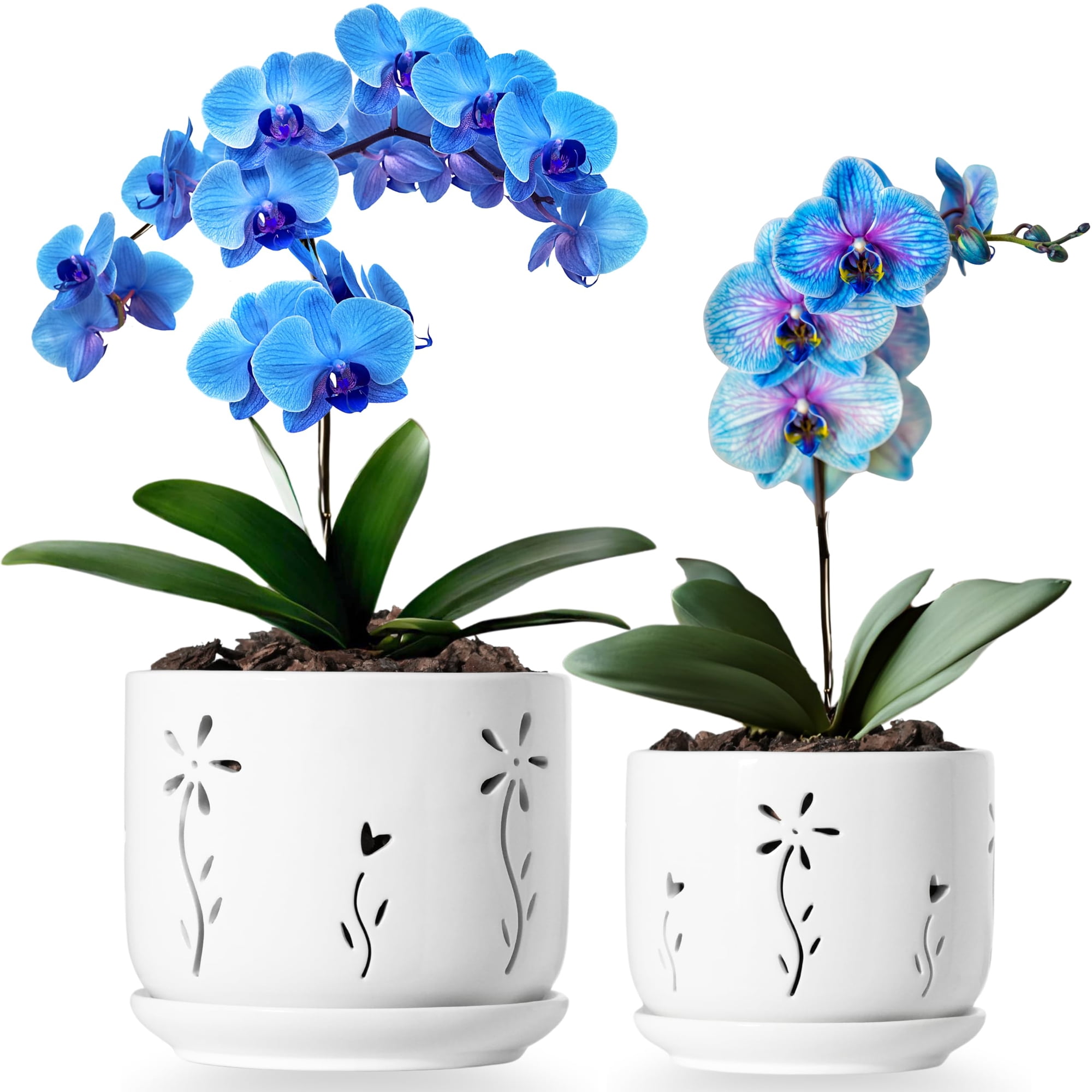 Orchid Pots Thriving Thriving Thicket, Juego De 2 Unidades De Cerámica Blanca De 13 Cm A 15 Cm