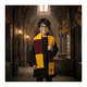 thumbnail image 1 of Disfraz Harry Potter Niño Capa Gryffindor Bufanda Lentes Set, 1 of 7