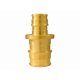thumbnail image 2 of Acoplamiento de púas Apollo Brass de The Mosack Group de 1/2 x 3/4 pulgadas, 2 of 8