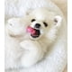 thumbnail image 2 of Juguete para Cachorros Nylabone Texturizado Sabor Pollo Extra Pequeño, 2 of 9