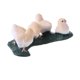 thumbnail image 4 of Simulación Animal Modelo Figuras De Acción Ni?os Juguete Regalo Pollos, 4 of 5
