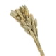 thumbnail image 2 of Ramo De Flores Secas Para Decoración Beige, 2 of 3