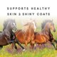 thumbnail image 3 of Suplemento para Caballos Manna Pro Sho-Glo 11,3 kg Vitaminas y Minerales, 3 of 6