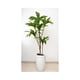 thumbnail image 5 of Planta Artificial Dracaena Premium 165 cm. / 90 Hojas, 5 of 8