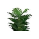 thumbnail image 3 of Planta Artificial Tipo Monstera. Altura: 130Cm verde, 3 of 3