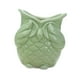 thumbnail image 4 of Maceta Con Forma De Búho, Maceta De Cerámica Para Decoración Del Hogar, Para El Hogar, Patio, Oficina, Sin Aspecto, Verde, 4 of 5