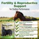 thumbnail image 2 of Suplemento de Fertilidad para Sementales Silver Lining Herbs – 454 g, 2 of 9