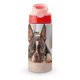 thumbnail image 1 of Boston TerrierBotella de Agua con Tapa Pop Top de Un Toque, Acero Inoxidable, a Prueba de Fugas, para Deportes, Botella Infantil rosa 12 oz, 1 of 6