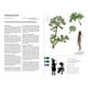 thumbnail image 4 of Reserva la primera guía de RPG de Renegade Game Studios Herbalist, 4 of 5