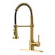 thumbnail image 1 of Grifo de cocina AIMADI Gold con pulverizador desplegable cepillado, 1 of 7
