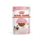 thumbnail image 2 of Royal Canin Kitten Instinctive Gato Pouch 85g Unidades | Pack 12 Sobres, 2 of 8