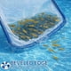 thumbnail image 5 of Red para Piscina Profesional HydraJoy para Alberca y Jacuzzi, 5 of 6