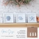 thumbnail image 5 of Arte de pared TideandTales con conchas marinas y estrellas de mar azules, juego de 3, 5 of 9