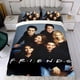 thumbnail image 4 of Amigos TV Conjunto de sábanas temático, trío de piezas, cómodo y amigable con la piel, diseño único, regalo de decoración para el hogar para familiares, amigos y fans, 90 cm * 190 cm, 4 of 6