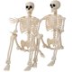 thumbnail image 1 of Decoración de esqueleto de Halloween JOYIN 91 cm, set posable de 2 piezas, 1 of 8