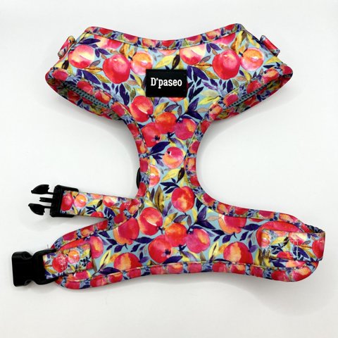 D'Paseo - Arnés Para Perros Silvestre Talla S