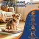 thumbnail image 2 of Spray de entrenamiento para el baño de perros PLUS CABLE 150 ml, 2 of 9