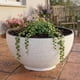 thumbnail image 2 of Macetero Plastico Semi Esfera Premium Diseño a Rayas M blanco, 2 of 9