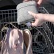 thumbnail image 5 of Funda para carrito de compras Boppy Compact Antibacterial Grey 6-48m, 5 of 6