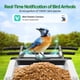 thumbnail image 2 of Comedero Inteligente Para Pájaros Con Cámara Solar 2k Hd Live View, 2 of 7