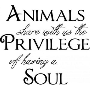 Rienda Libre Graphics - Decomural Privilege Of Having A Soul Pet Ws-41483