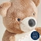 thumbnail image 5 of Juguete sensorial para tiempo boca abajo Itzy Ritzy Oso con espejo, 5 of 8