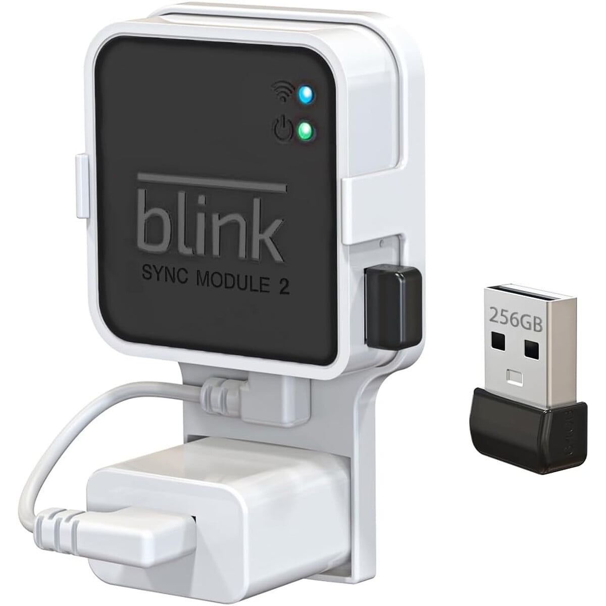 Pendrive 256gb Blink Con Montaje Pared Para Sync Module 2