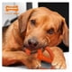 thumbnail image 3 of Juguete Para Perros Anillo Oval Flexible Talla M Nylabone amarillo, 3 of 3