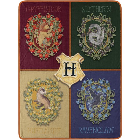 Manta Northwest Harry Potter Micro Raschel Liviana