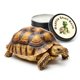 thumbnail image 4 of Kr Acondicionador Y Bálsamo De Caparazón De Tortuga Lif Crema Para El Cuidado De Caparazón De Tort, 4 of 8