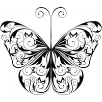 Rienda Libre Graphics - Decomural Decorative Butterfly Butterflies Ws-18346