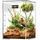thumbnail image 5 of Termómetro digital para reptiles BamiriX, juego de 2 unidades, 5 of 8