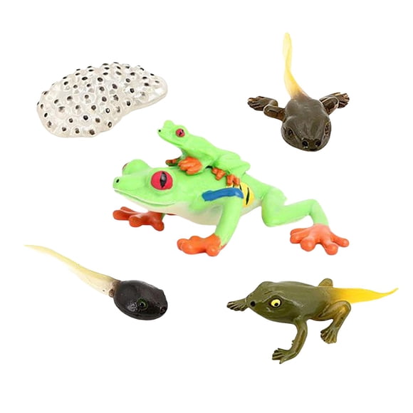 Figuras De Ciclo De Vida De Simulación Figuras De Libélula Para Favores De Fiesta Niños Rana De árbol De Ojos Rojos