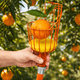 thumbnail image 4 of Recolector De Frutas Truper Con Cojin, Frut, 4 of 5