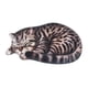 thumbnail image 3 of Alfombra De Gato Durmiendo, Felpudo Decorativo Antideslizante Para Sala De Estar Al Aire Libre, Dormitorio, Rayas, 3 of 5