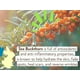 thumbnail image 3 of Protector solar Babo Botanicals Daily Sheer Mineral SPF30 60 ml, 3 of 3
