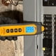 thumbnail image 2 of Trazador de circuitos digital Ideal Electrical SureTrace 61-946, 2 of 8