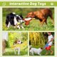 thumbnail image 2 of Juguete Para Perro Eneston 3 Patos Sin Relleno Squeaky, 2 of 3